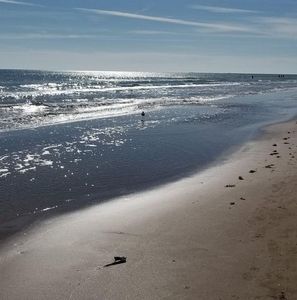 Meet your Posher, Wanda